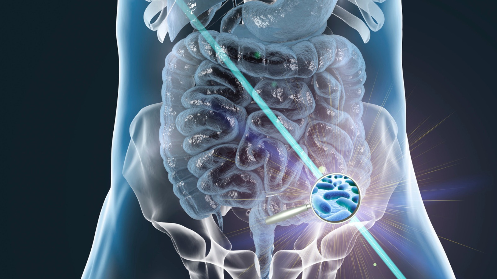 Saiba mais sobre: Bactérias intestinais revelam interação surpreendente que pode auxiliar na saúde do intestino