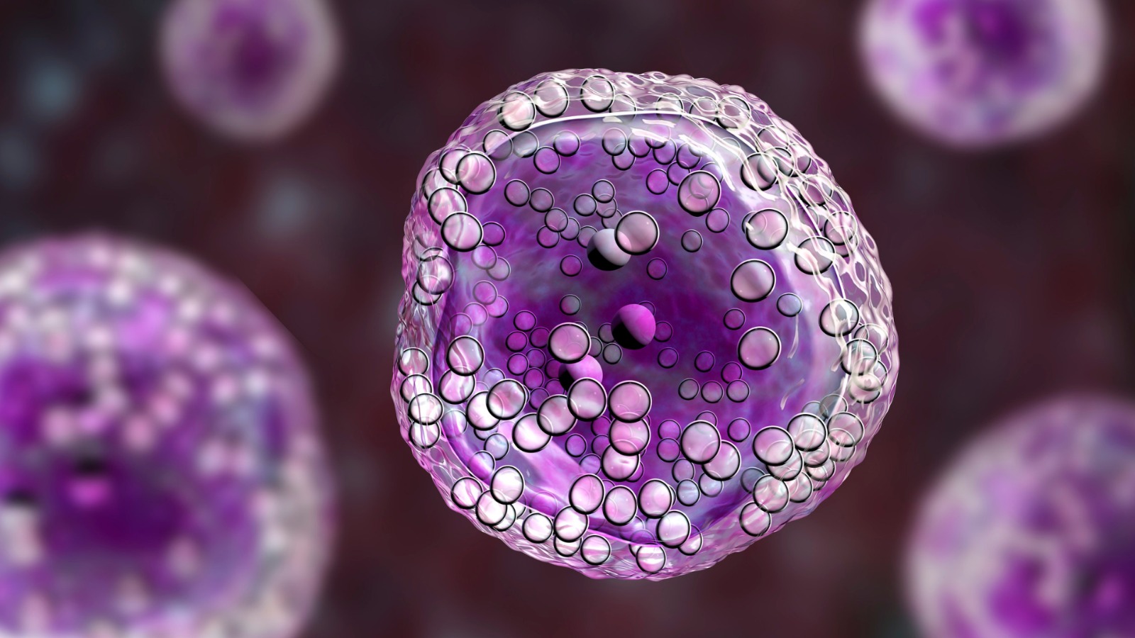 Saiba mais sobre: Vacina experimental contra mutação KRAS mostra potencial no combate ao câncer de pâncreas e colorretal