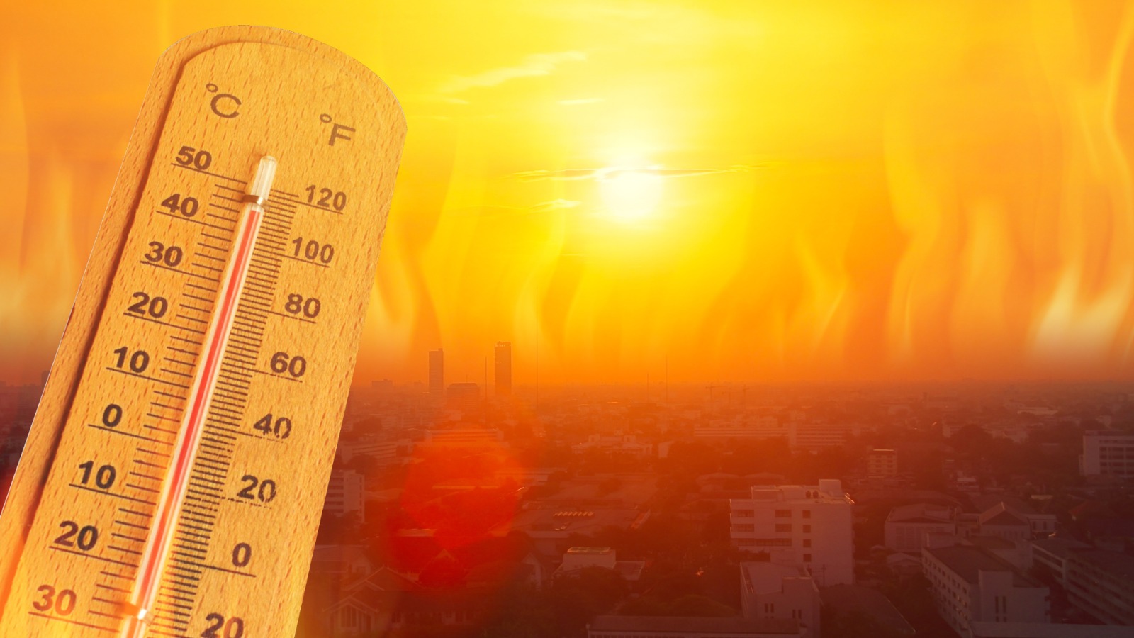 Saiba mais sobre: Ondas de calor intensificam a poluição do ar e aumentam riscos à saúde, aponta estudo no Texas